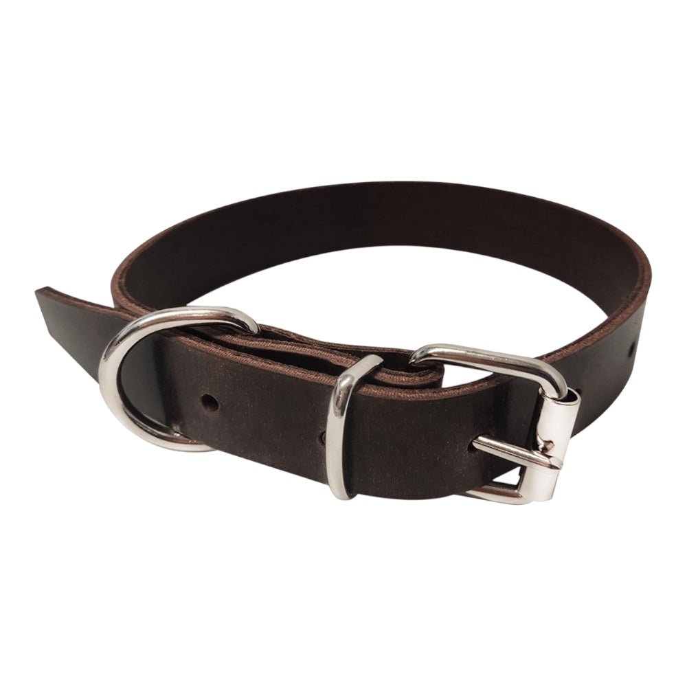 Collars for dogs