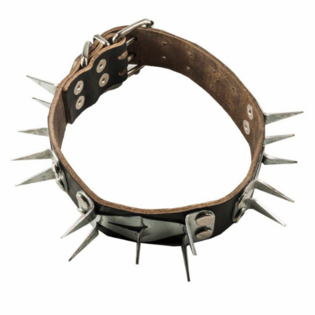 Dog collar with perimeter protection sheet steel nails