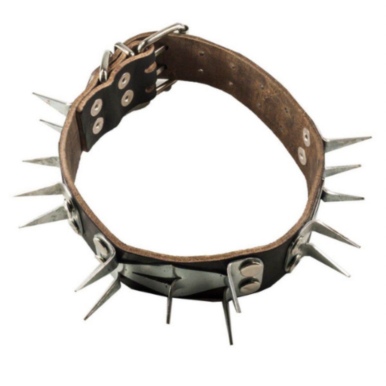 Dog collar with perimeter protection sheet steel nails