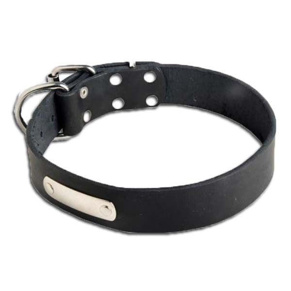 Dog leash with metal ID 100% durable leather. Make your own ID for your beloved dog.