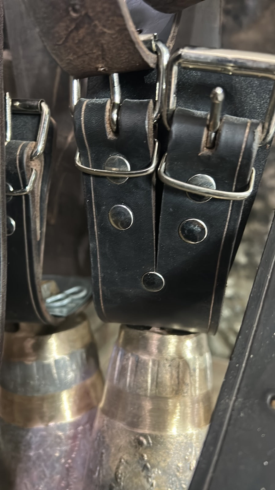 Sheep and goat leather collars 3,93 inch  x 25,6 inch